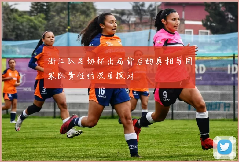浙江队足协杯出局背后的真相与国家队责任的深度探讨