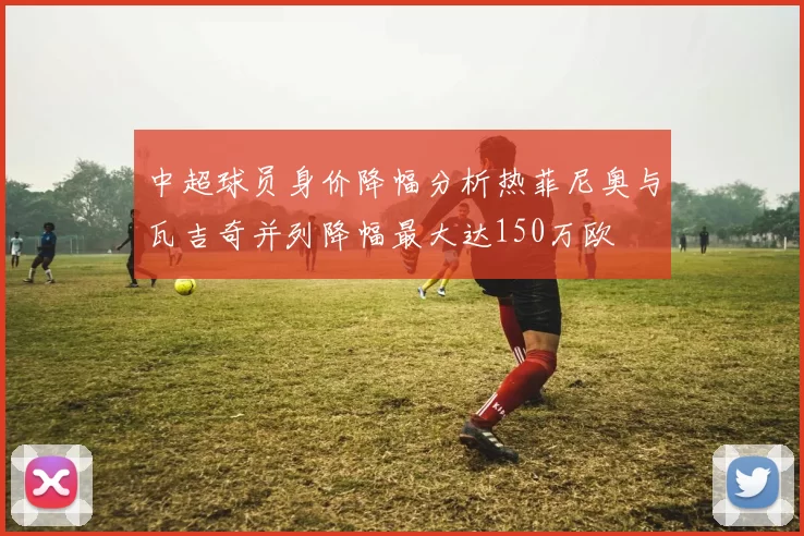 中超球员身价降幅分析热菲尼奥与瓦吉奇并列降幅最大达150万欧
