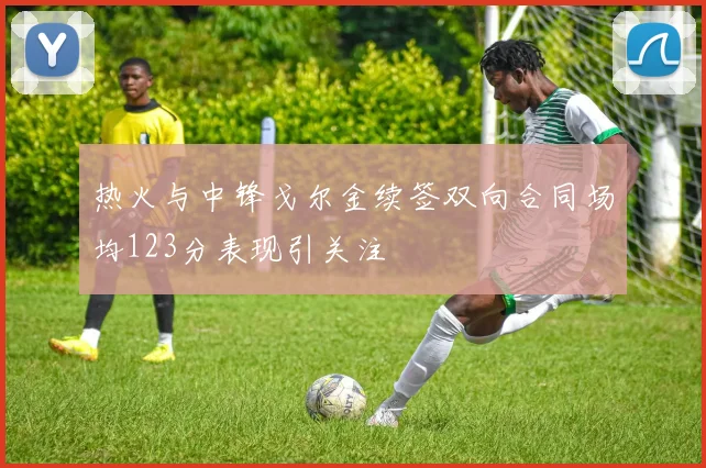 热火与中锋戈尔金续签双向合同场均123分表现引关注